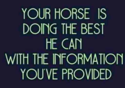 Horse quote